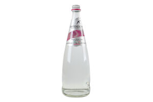 Вода минеральная негазированная San Benedetto с/бут 0.75л