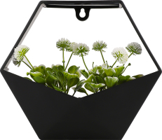 Вазон декоративний з квітами шестикутний настінний 22*15*10,5см в асортименті BMG