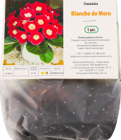 Бульба Глоксінія Бланш де Меру Яскрава