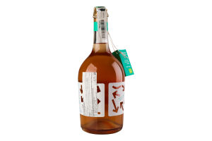 Вино ігристе Corvezzo Shake me Rose Raboso