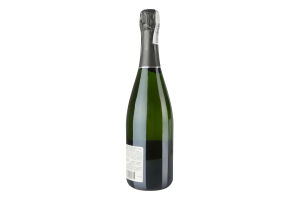 Шампанське 0.75л 12% біле напівсухе Demi-Sec AOC Premier Cru Pierre Trichet пл