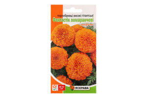 Насіння Квіти Чорнобривці Фантастік оранжеві високі гігант 0,3г Яскрава