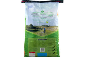 Purina Dog Chow Dog Food Complete Adult Chicken