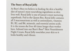 Burt's Bees Skin Nourishment Night Cream with Royal Jelly