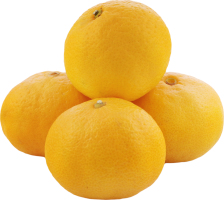 Мандарин ранний