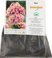 Кореневище Флокс Sherbet Blend Яскрава