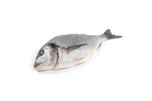 Дорада 300-600 охлажденная ПР