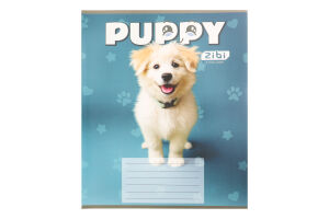 Тетрадь ученическая школьная в косую линию 12 листов №ZB25.1753C Dogs Kids line ZiBi 1шт