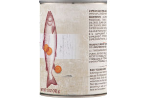 Purina Beyond Grain Free Ground Entree Dog Food Salmon & Sweet Potato Recipe