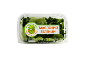 Салат Пучок-Свіжачок Масляний зелений