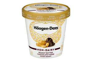 Haagen-Dazs Non-Dairy Frozen Dessert Peanut Butter Chocolate Fudge