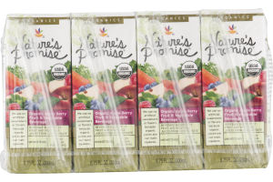 Nature's Promise Organic Apple Berry Fruit & Vegetable Beverage - 8 CT