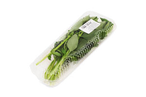 Базилік зелений свіжий 50г блістер