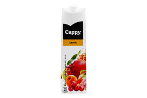 Нектар пастеризований з різноманітних фруктових соків та пюре Екзотик Cappy т/п 1л