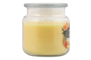 Свічка ароматична Island nectar 350г скло Пако ІФ