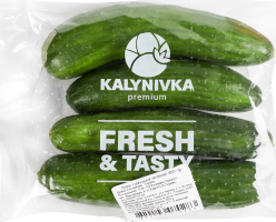 Огурец Украинский тепличный