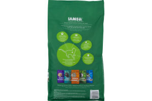 IAMS Proactive Health Healthy Senior Premium Cat Food With Chicken 11 + Years