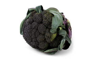Капуста броколі Пьорпл Меджік