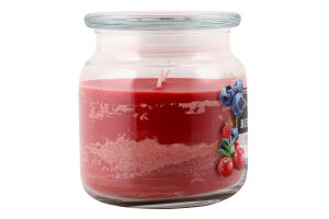 Свічка ароматична Wild berry 350г скло Пако ІФ
