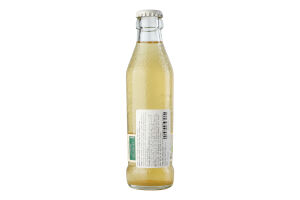 Напій Tassoni Tonica Ginger Ale б/а сил/газ скло