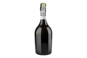 Вино ігр San Martino Prosecco DOC Treviso Brut 99