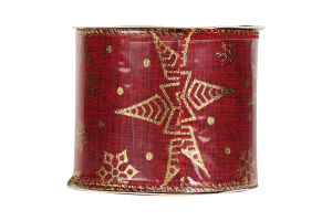 Стрічка для декорування 6,3*270см в асортим 985764