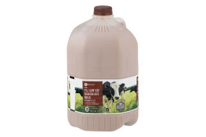 SE Grocers Chocolate Milk 1% Low Fat