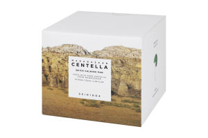 Патчі під очі Madagascar Centella Заспокійливі з екстрактом центелли 70шт Skin1004