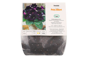 Бульба Глоксінія Принц Альберт Яскрава