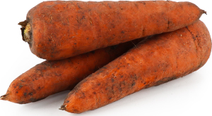 Морковь молодая