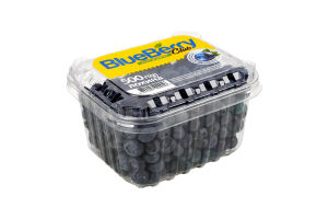 Лохинa BlueBerry Club