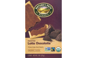 Nature's Path Organic Toaster Pastries Frosted Lotta Chocolotta - 6 CT