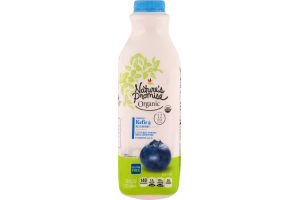 Nature's Promise Organic Kefir Blueberry