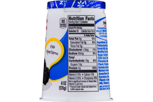 Yoplait Light Fat Free Yogurt Blackberry