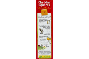 Annie's Homegrown Baked Snack Crackers Cheddar Squares