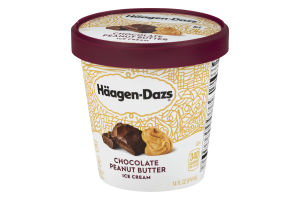 Haagen-Dazs Ice Cream Chocolate Peanut Butter