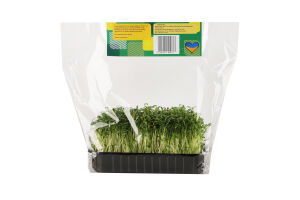 Мікрозелень Green Farm кінза