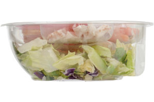 Ahold Chicken Salad Asian Style