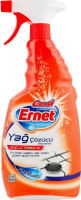 ERNET ЗАСІБ ВЖИРУ 750МЛ
