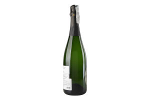 Вино ігристе Opere Trevigiane Brut