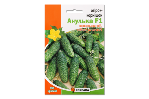 Насіння Огірок Анулька F1 пакет гігант 2,5г Яскрава