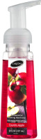 CareOne Antibacterial Foaming Hand Soap Country Apple