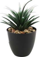 Вазон декоративний Сукулент з камінцями 16*12*12см в асортименті BMG