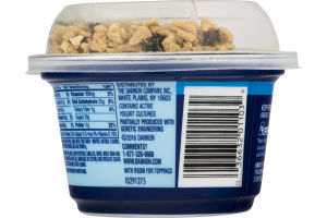Dannon Oikos Nonfat Yogurt Crunch Coconut Chocolate Crumble