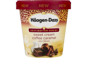 Haagen-Dazs Ice Cream Sweet Cream Coffee Caramel