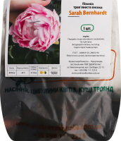 Кореневище Півонія Сара Бернар трав"яниста висока Яскрава