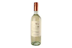 Вино 0.75л 12% белое сухое Chardonnay I Castelli бут