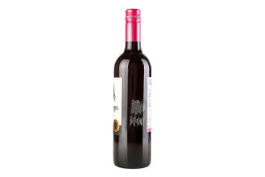 Вино San Pedro Gato Negro Pinot Noil 2013 0.75л