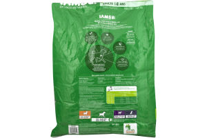 Iams Proactive Health Dog Food 1-6 Years Minichunks