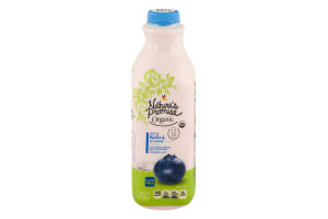 Nature's Promise Organic Kefir Blueberry